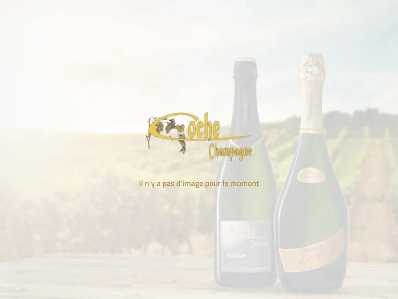 salons des vins et de la gastronomie d