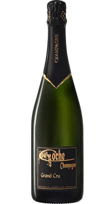 champagne grand cru à Dormans près d'Epernay dans la Marne 51