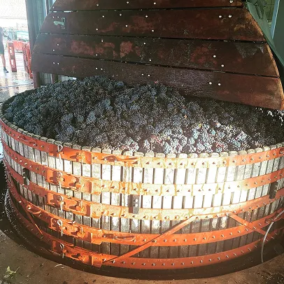 production de champagne