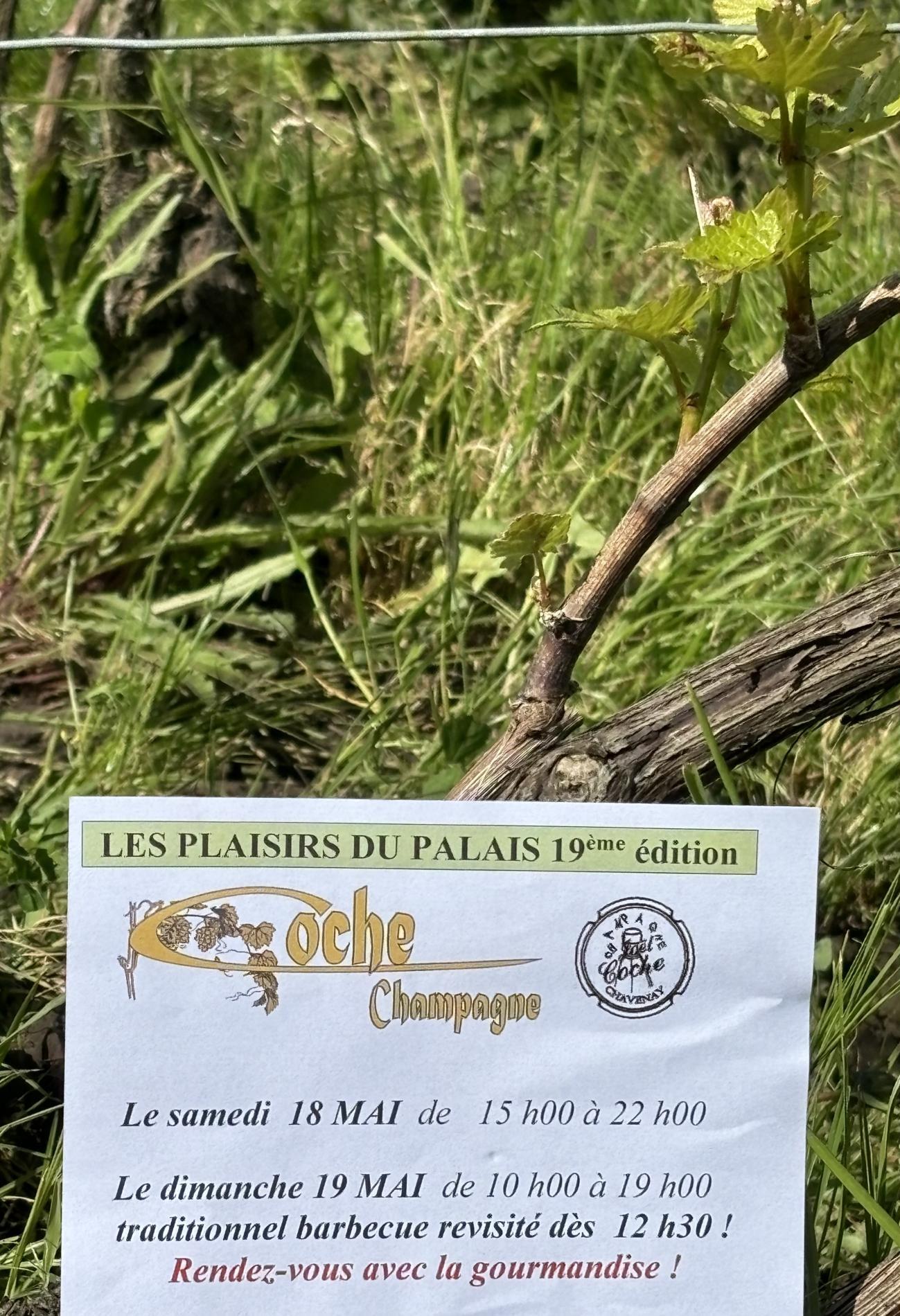 Portes ouvertes 2024